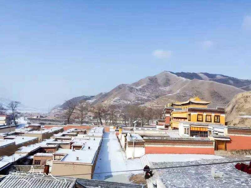 རང་ལུས་མེར་སྲེག་གནང་མཁན་གྱི་ཕ་མ་གཉིས་འཛིན་བཟུང་འོག་འབོ་ར་དགོན་གྲོང་གཉིས་ཀ་དམ་དྲག་ཆེན་པོའི་འོག་བཞག་འདུག རང་ལུས་མེར་སྲེག་གནང་མཁན་གྱི་ཕ་མ་གཉིས་འཛིན་བཟུང་འོག་འབོ་ར་དགོན་གྲོང་གཉིས་ཀ་དམ་དྲག་ཆེན་པོའི་འོག་བཞག་འདུག