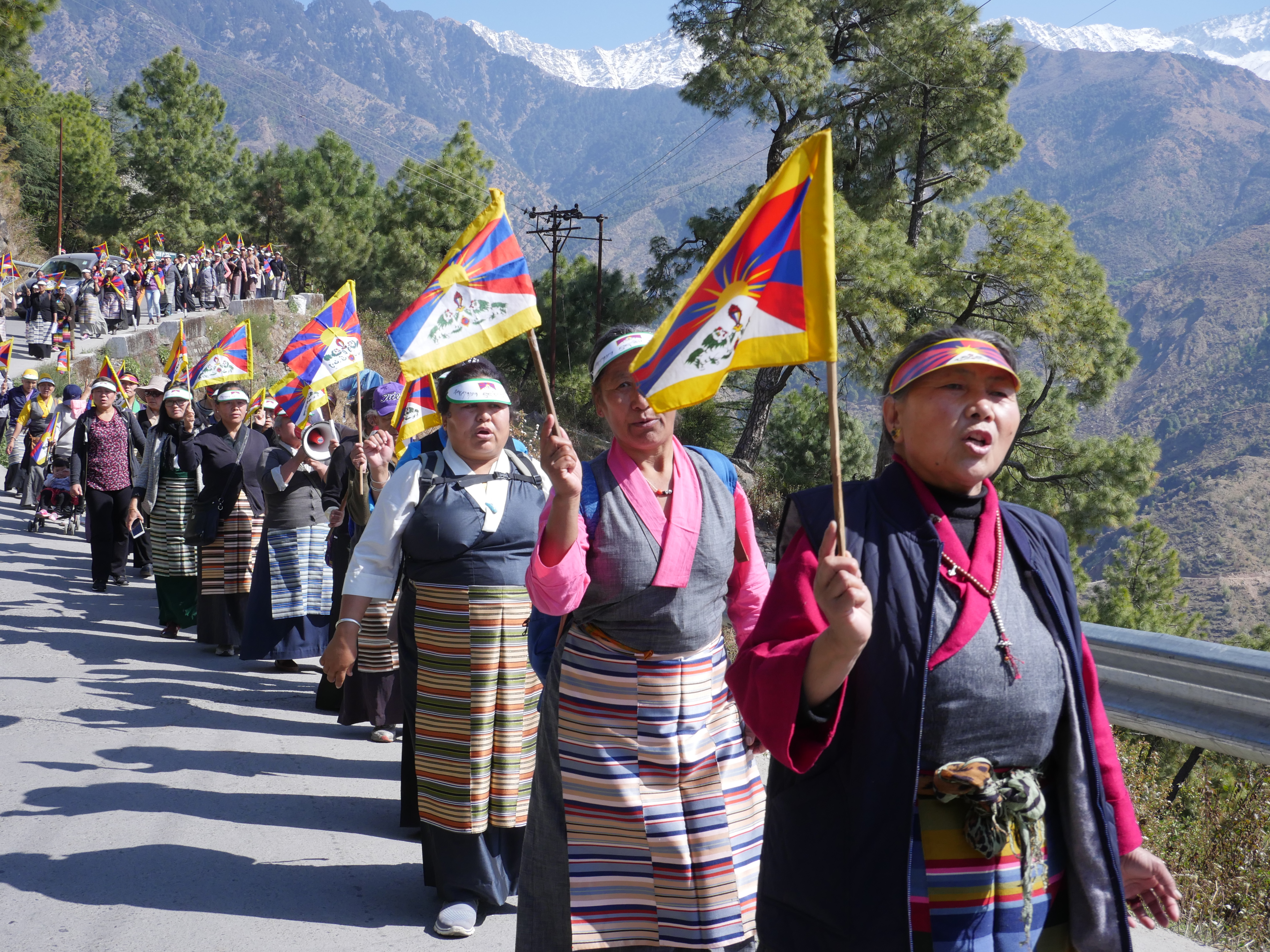 བཞུགས་སྒར་དུ་བོད་ཀྱི་བེུད་རང་དབང་སྒེར་ལངས་ཐེངས་ ༥༩ སྲུང་བརྩི་ཞུས་པ། བཞུགས་སྒར་དུ་བོད་ཀྱི་བེུད་རང་དབང་སྒེར་ལངས་ཐེངས་ ༥༩ སྲུང་བརྩི་ཞུས་པ།