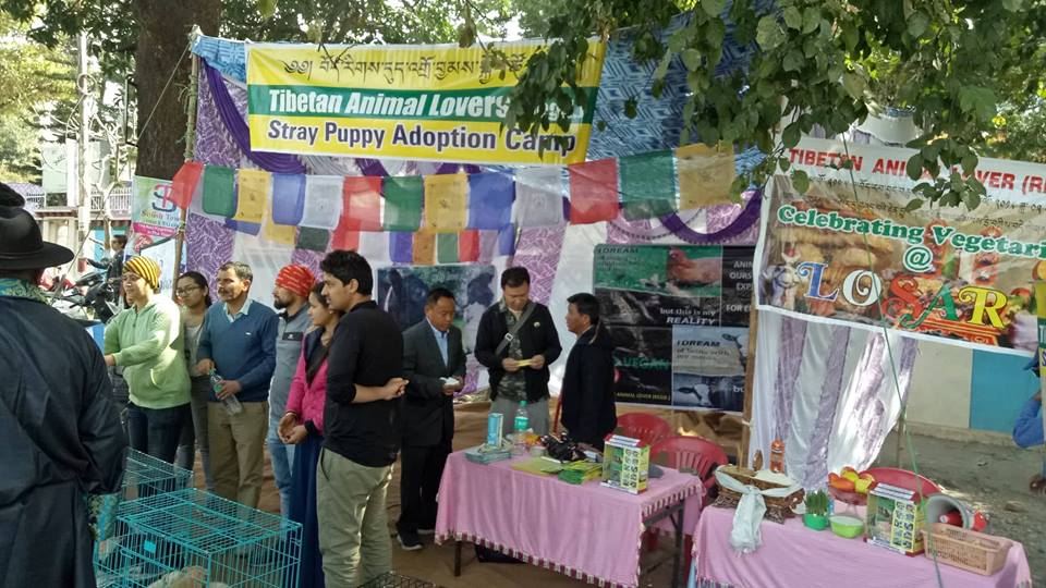 Tibetan animal lovers ཚོགས་པ། Tibetan animal lovers ཚོགས་པ།